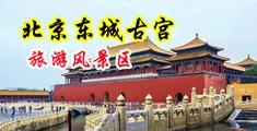 女女女女女女女裸开BBBB中国北京-东城古宫旅游风景区